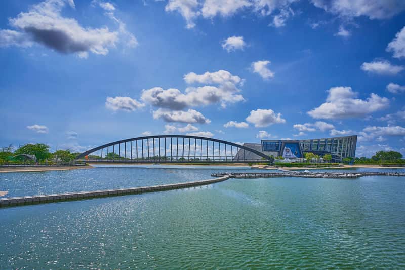 走進未來我在AI世界城的夢想啟航