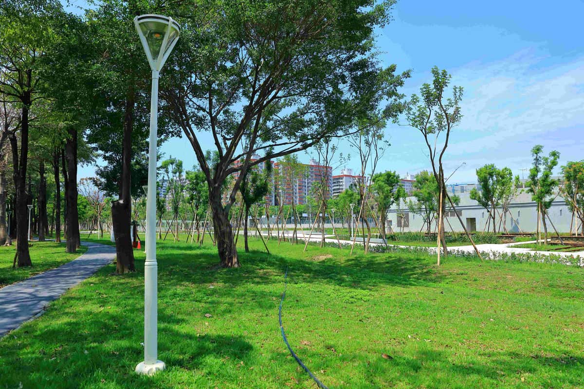 「終於找到理想家園！」─ 我的高鐵特區新生活