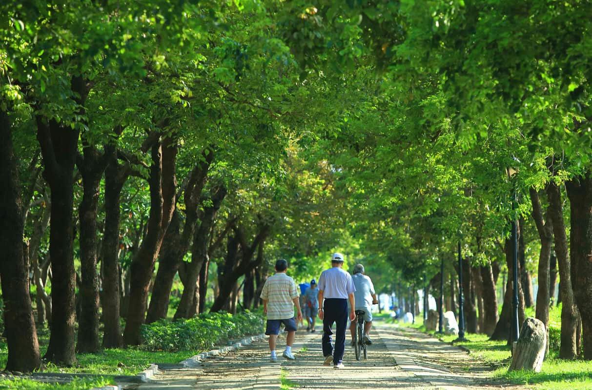 「高鐵旁的新家，簡直是投資夢想！」── 感受開遠建設「諾金」
