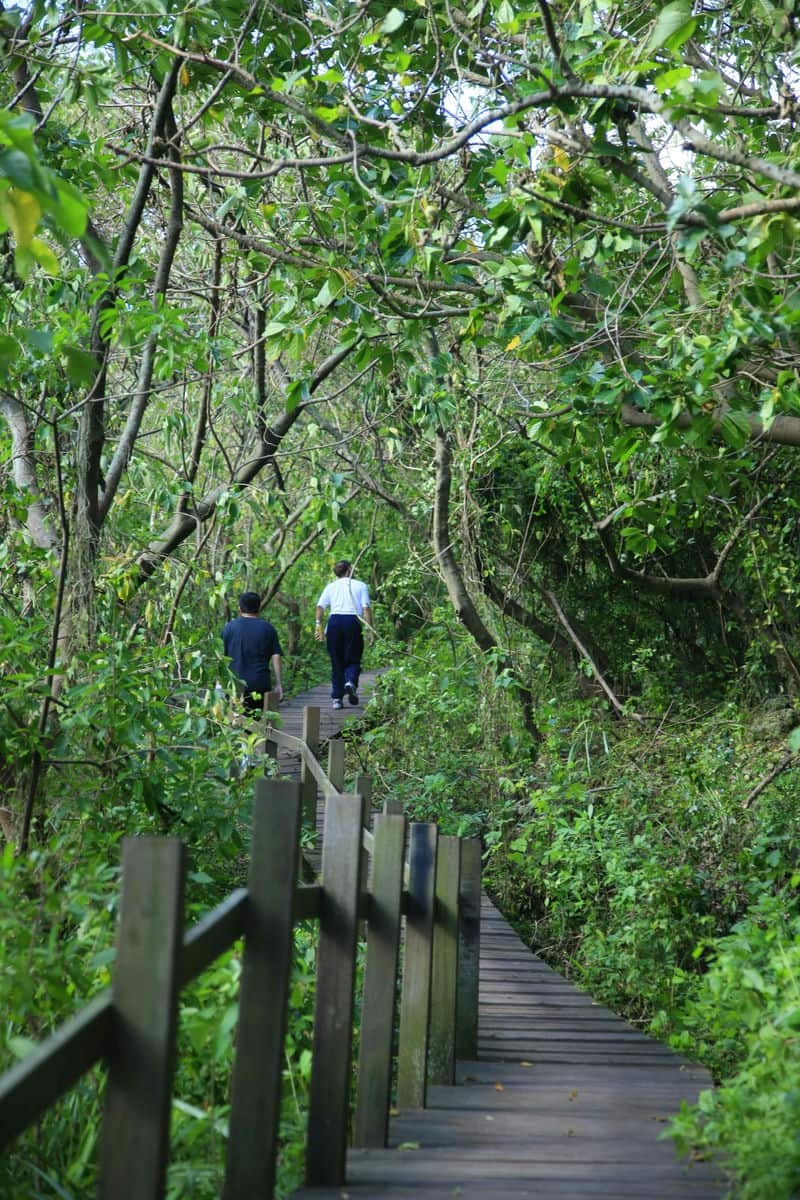 「優選高雄新據點！開遠諾金開創未來投資新契機」