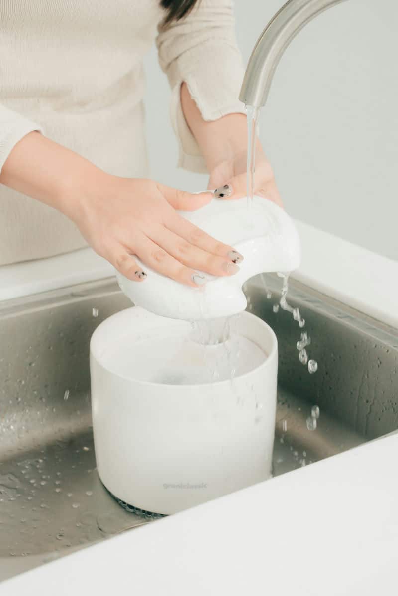 忙碌生活中的貼心夥伴「GC 喝不停 AquaLux 寵物智能