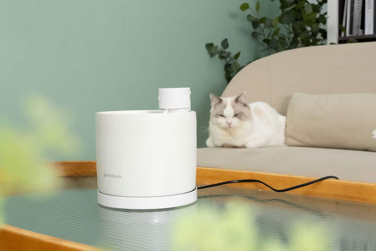 為繁忙日程中的毛孩子喝水問題找到解決方案！GC 喝不停Aqu