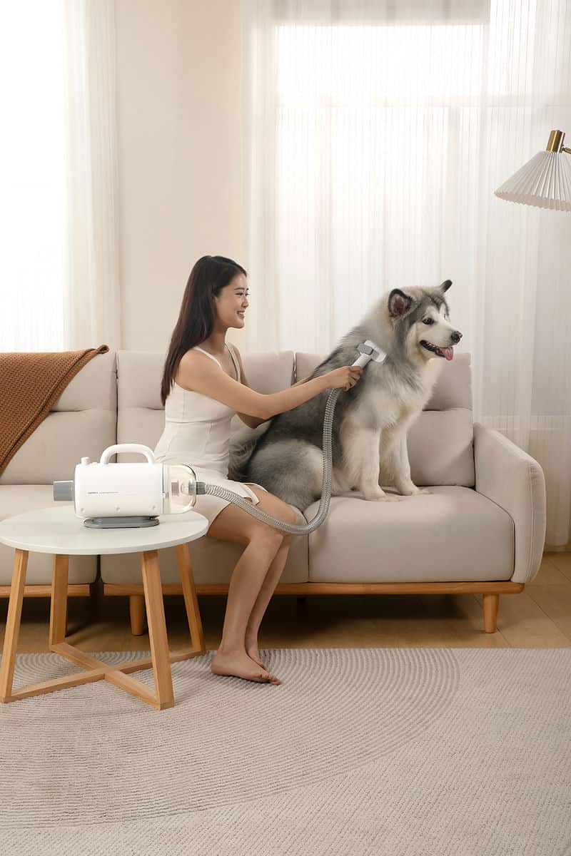 暖烘烘寵物護理新體驗！PetBlow二合一吹吸一體機，家有寵