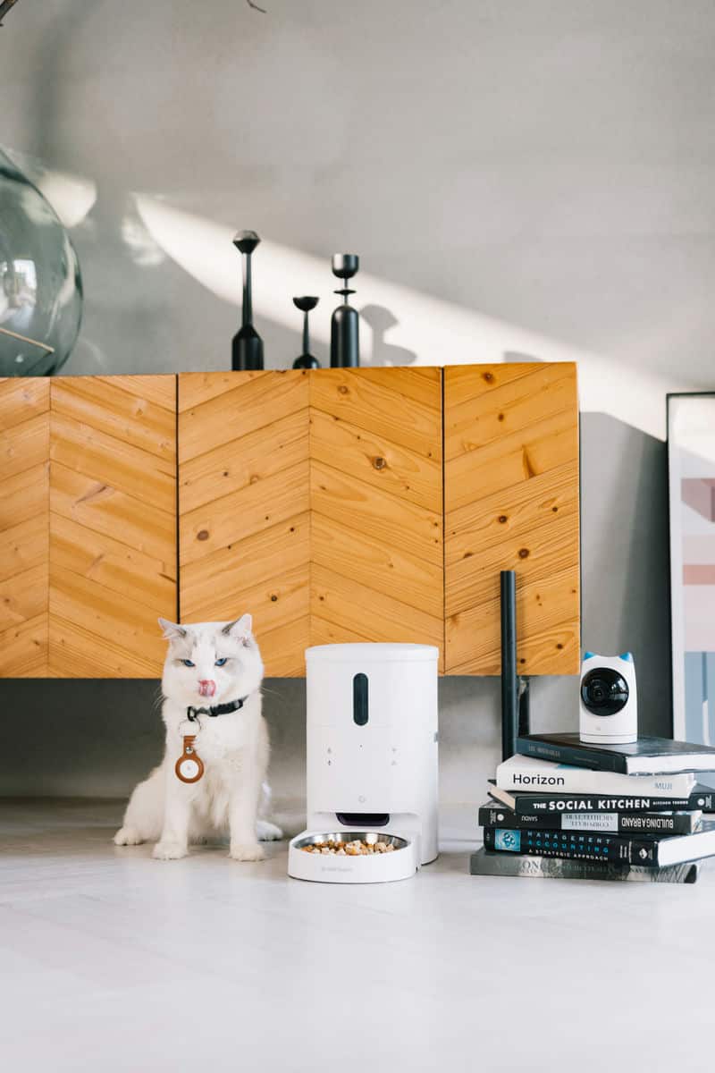 我怎麼靠「GC 餵不停 LuxNourish 貓狗自動餵食器