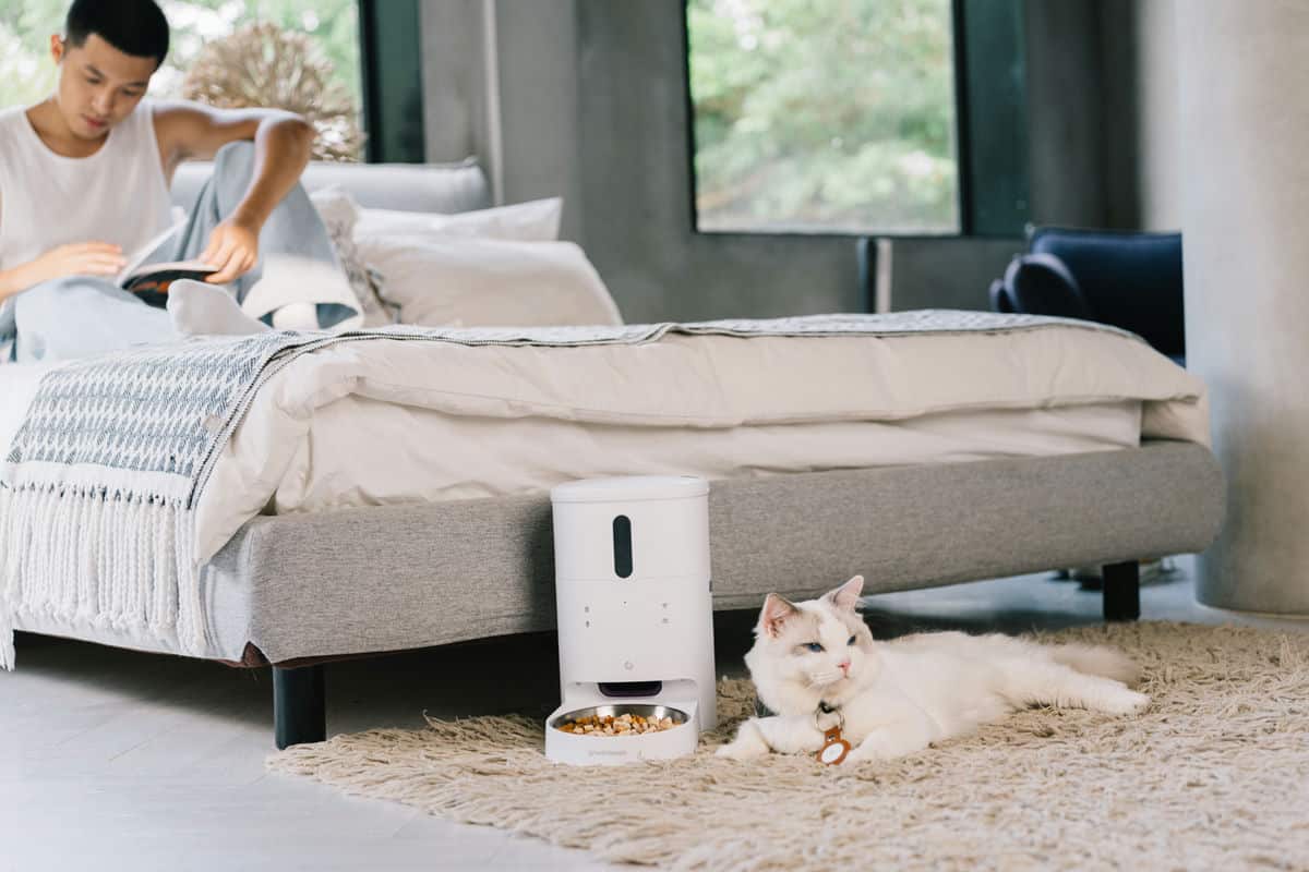 讓毛小孩養成更健康我對GC 餵不停 LuxNourish 貓