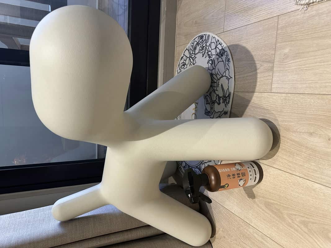 告別寵物異味，「淨味精靈」我的家居清新守護神