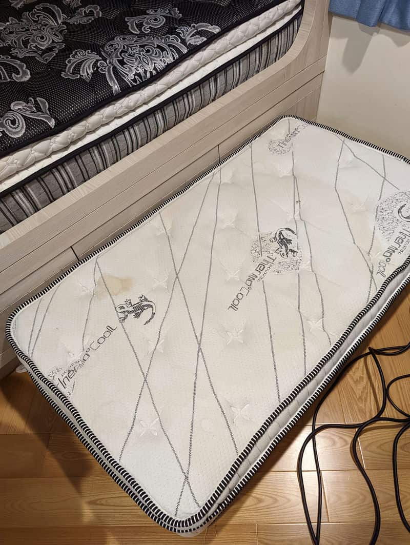 「沙發清潔必備！我家的超神奇故事」