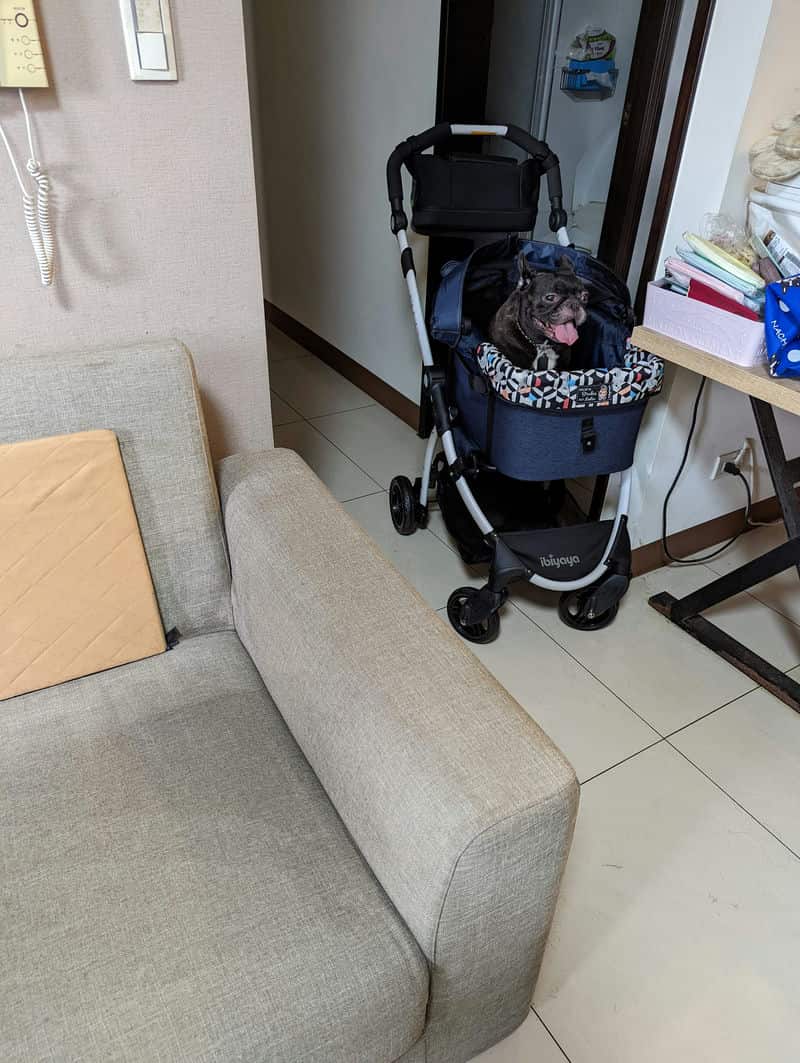 讓家裡的沙發重現新生──我的【景盛沙發清潔有限公司】深層清潔