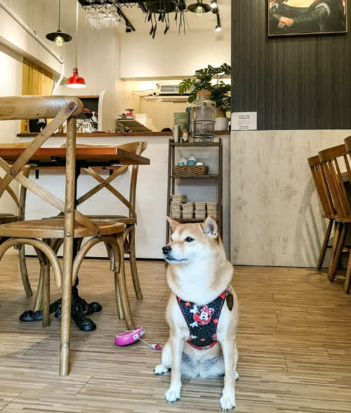 一次意想不到的美食之旅我的義式湯麵探險